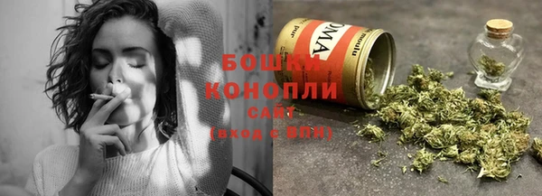 стаф Коряжма